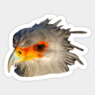 Secretary Bird hair do Sticker